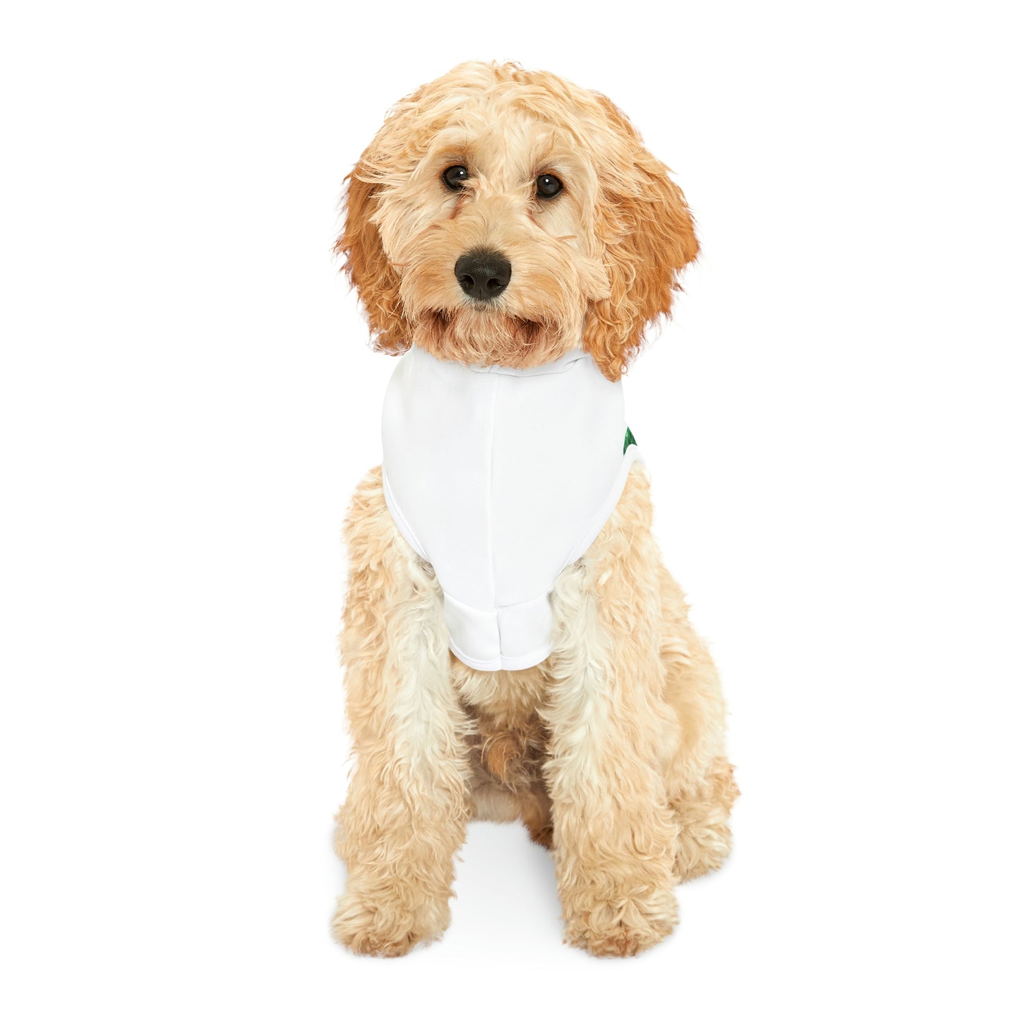 St Patrick's Day Dog Hoodie