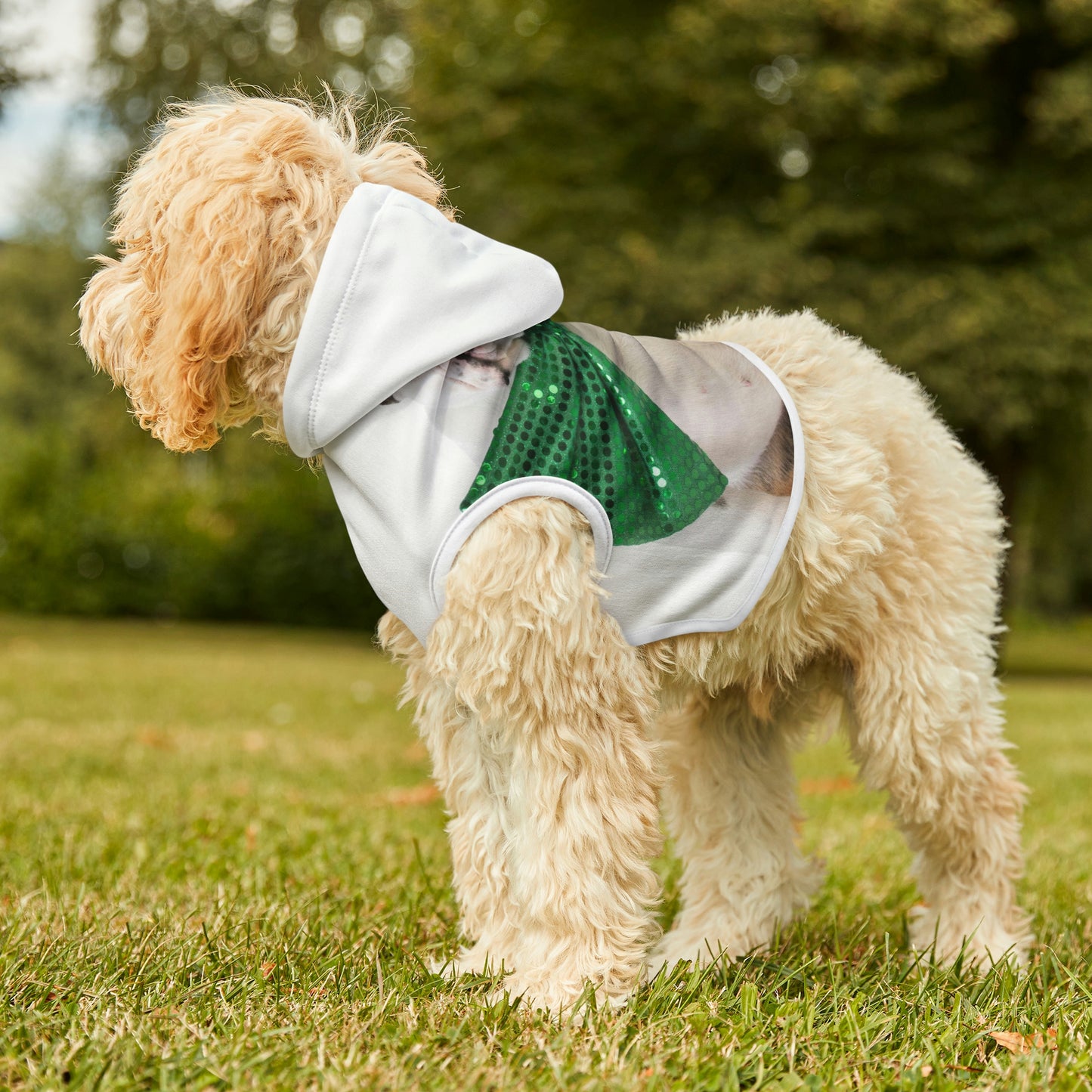 St Patrick's Day Dog Hoodie