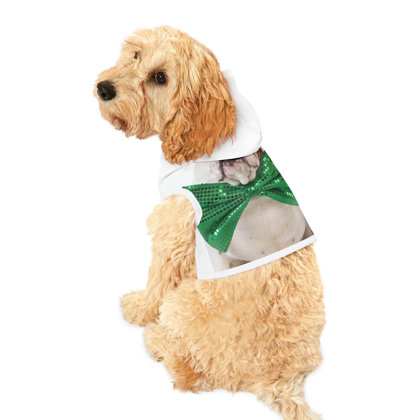 St Patrick's Day Dog Hoodie