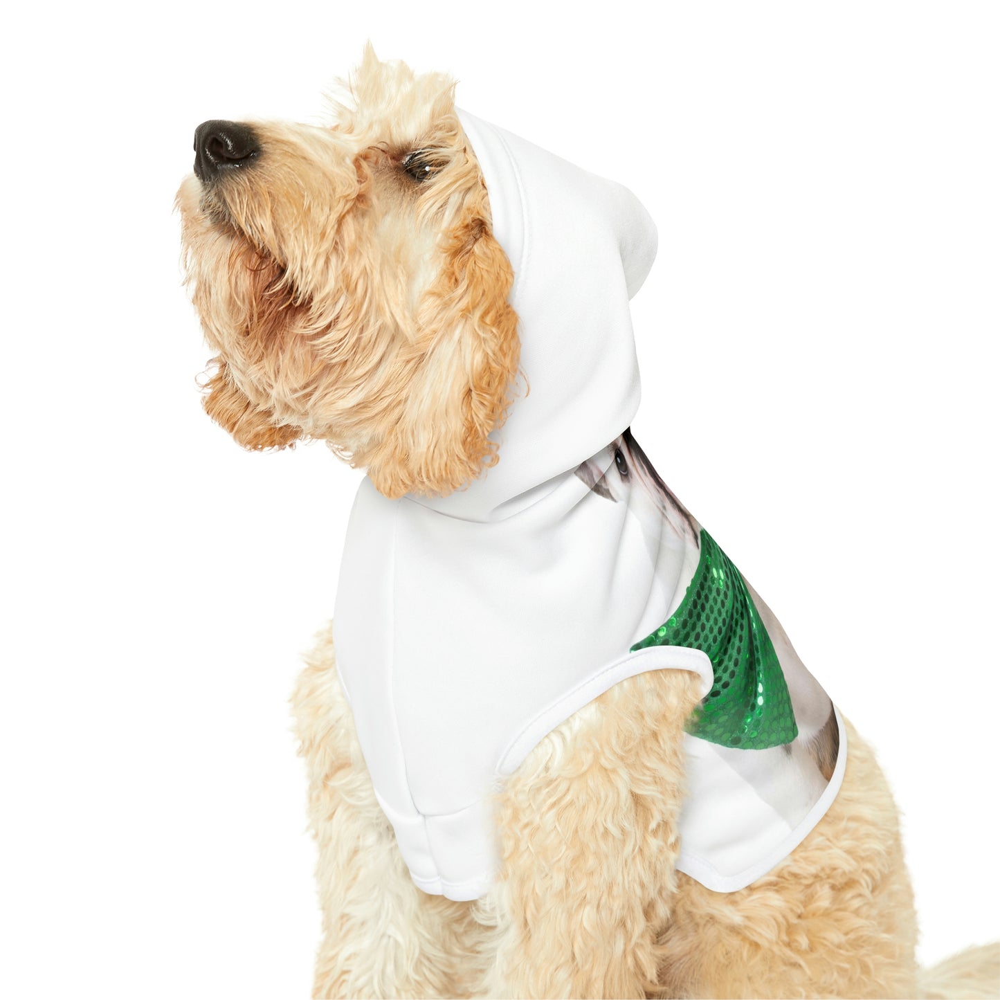St Patrick's Day Dog Hoodie