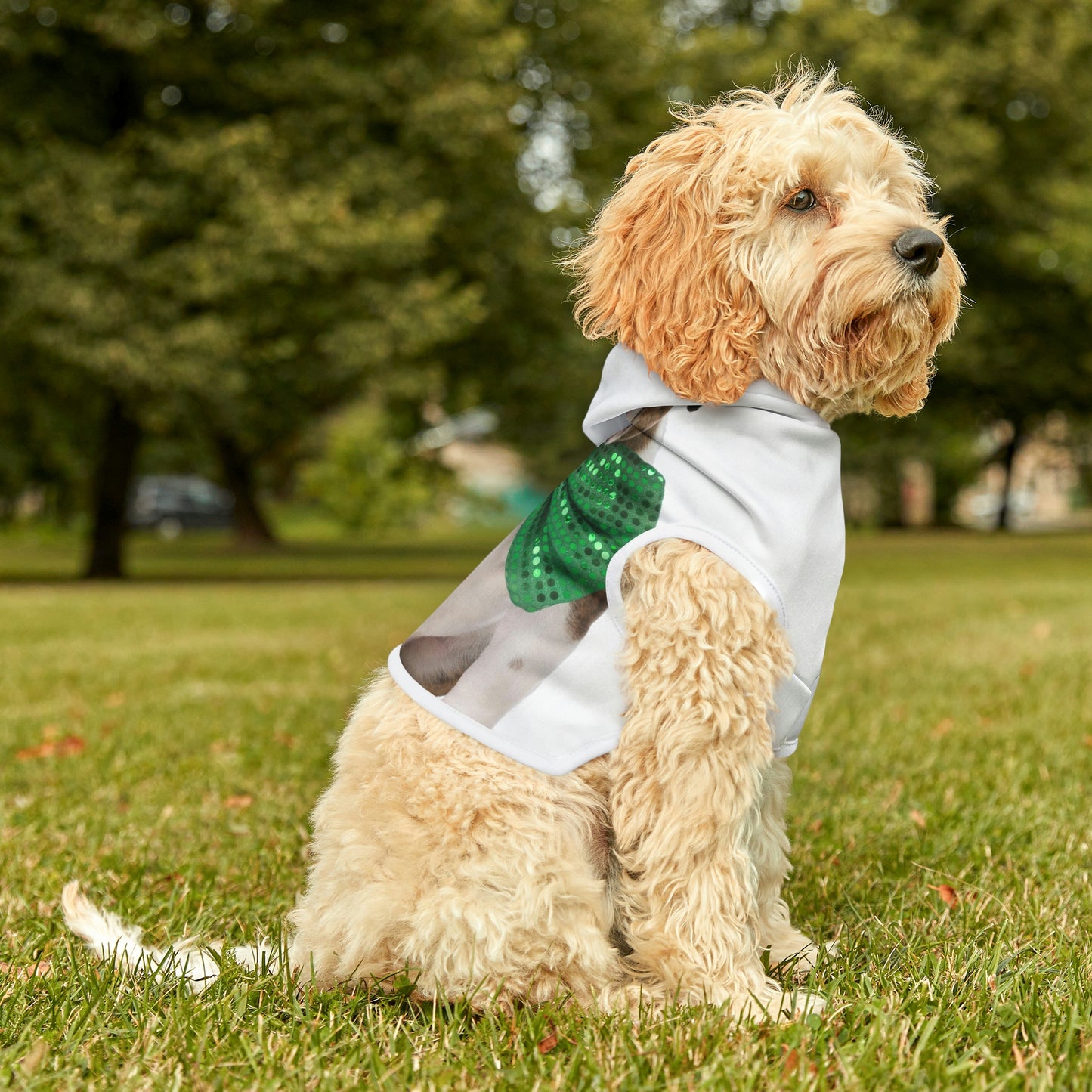 St Patrick's Day Dog Hoodie